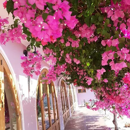 Domus De Janas * سان فيتو